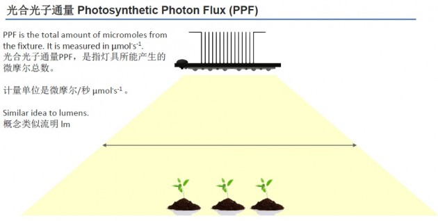 配图04_光合光子通量jpg