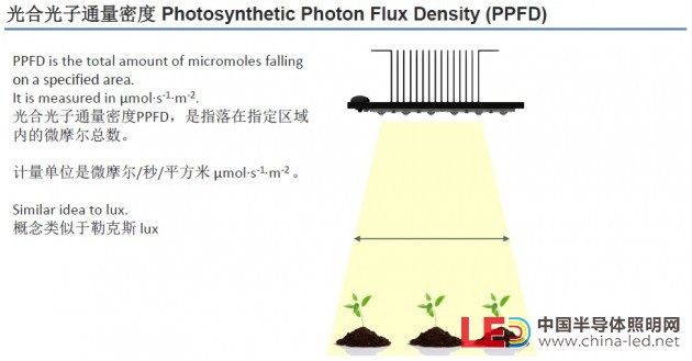 配图05_光合光子通量密度